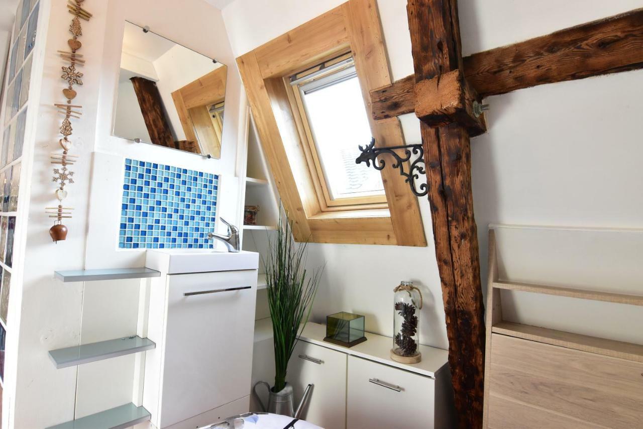 Le Duplex Carnot Apartment อานซี ภายนอก รูปภาพ